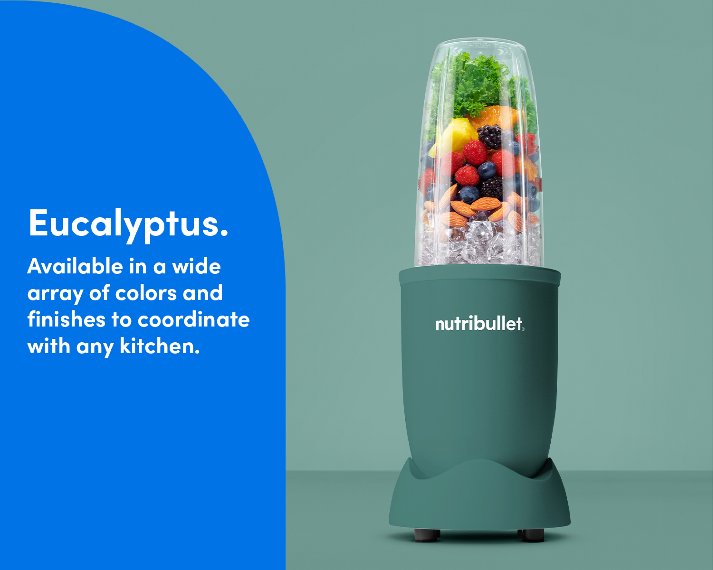 nutribullet Pro 900 Watt Blender - Series Price & Reviews