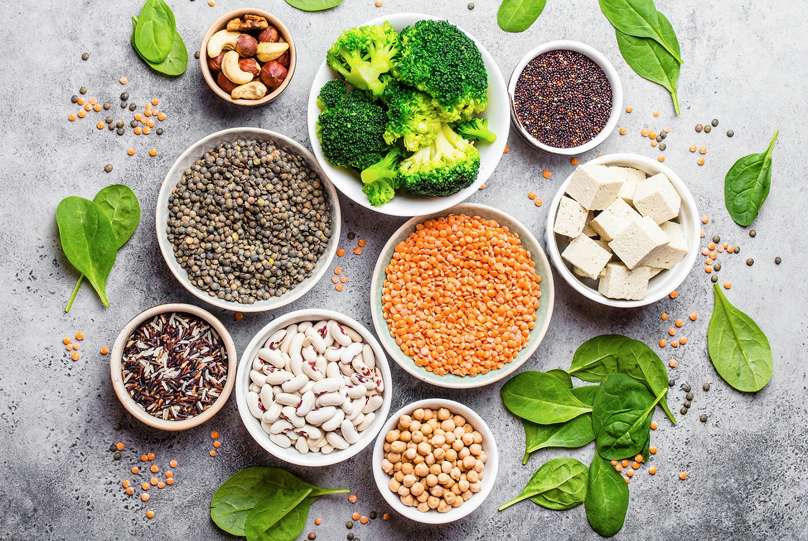 Eco-Friendly and Budget-Friendly Protein Sources