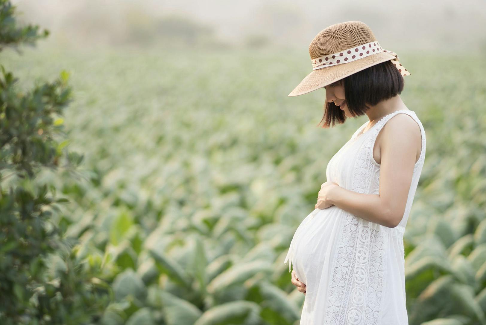 Foods to Help Curb Morning Sickness