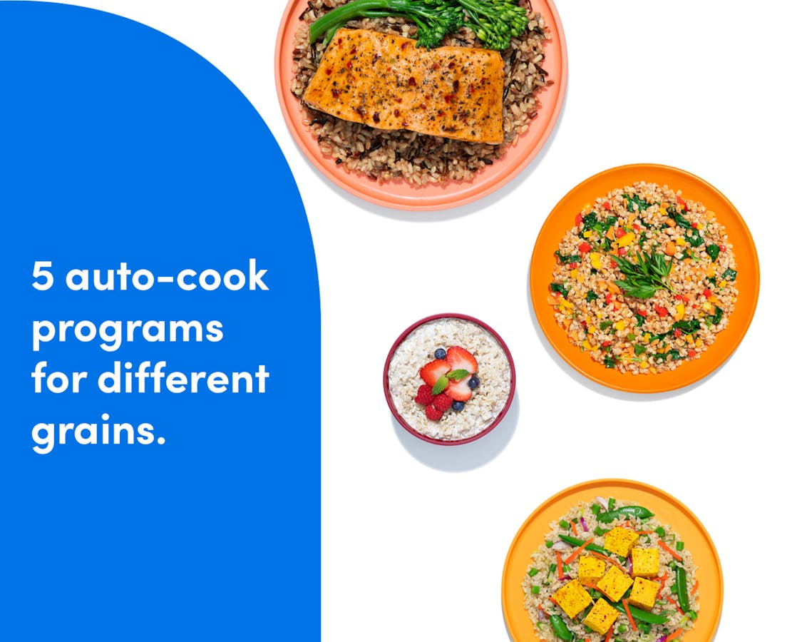 A display of various grain-based dishes, including oatmeal, grain salads, and bowls with salmon and tofu, illustrating the nutribullet EveryGrain Cooker’s 5 auto-cook programs for different grains.